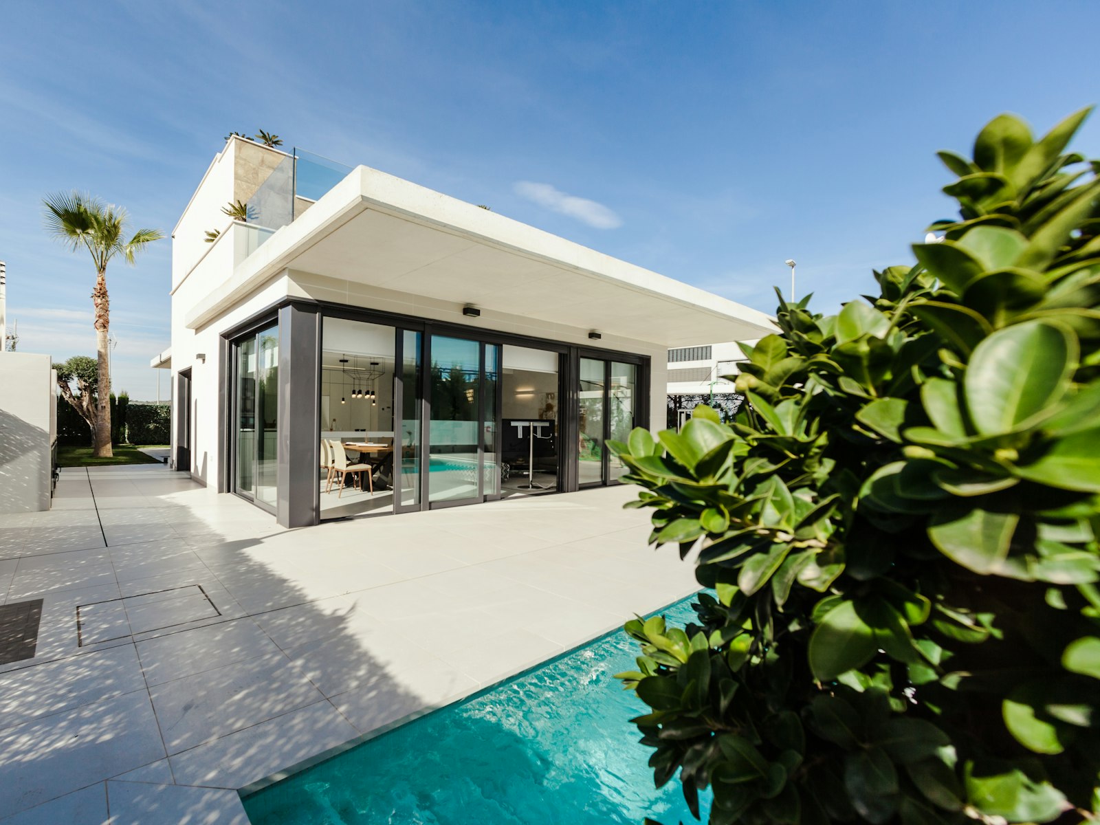 Poolside terrace with palm planting against a white architectural facade.